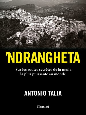 cover image of 'Ndrangheta